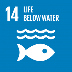 Life below water - Goal 14