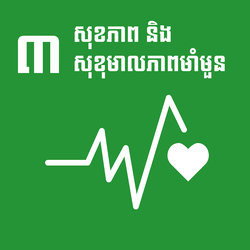 សុខភាពល្អនិងសុខុមាលភាព - គោលដៅ 3