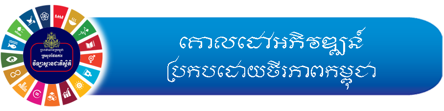 ព្រះរាជាណាចក្រកម្ពុជា ក្រសួងផែនការ វិទ្យាស្ថានជាតិស្ថិតិ